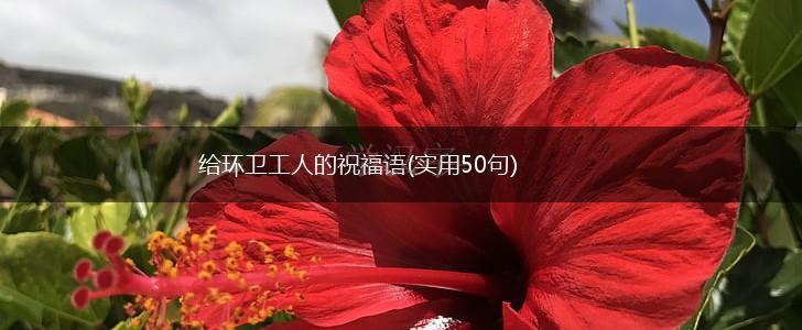 给环卫工人的祝福语(实用50句),第1张