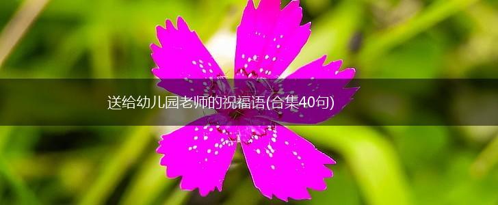 送给幼儿园老师的祝福语(合集40句),第1张