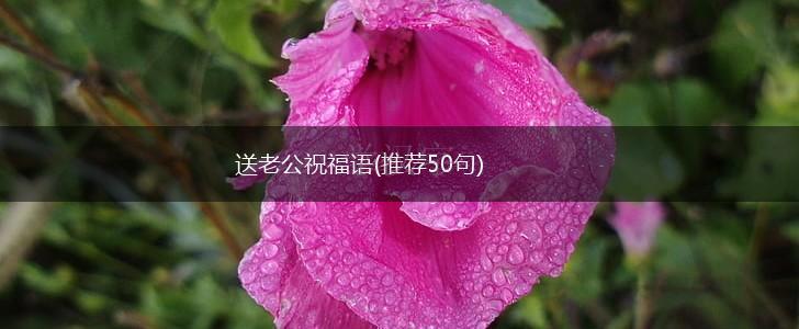 送老公祝福语(推荐50句),第1张