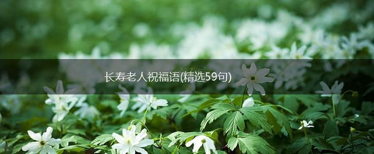 长寿老人祝福语(精选59句),第1张