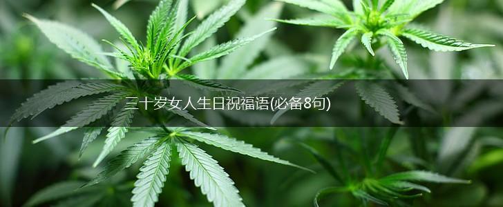 三十岁女人生日祝福语(必备8句),第1张