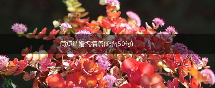 简短结婚祝福语(必备50句),第1张