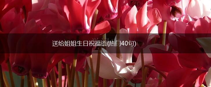 送给姐姐生日祝福语(热门40句),第1张