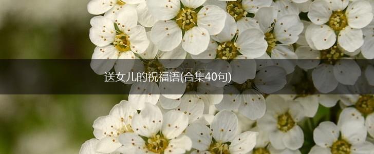 送女儿的祝福语(合集40句),第1张