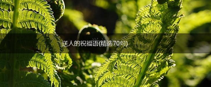 送人的祝福语(精选70句),第1张