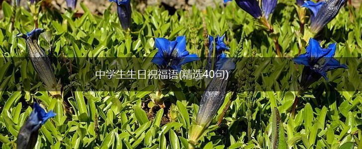 中学生生日祝福语(精选40句),第1张