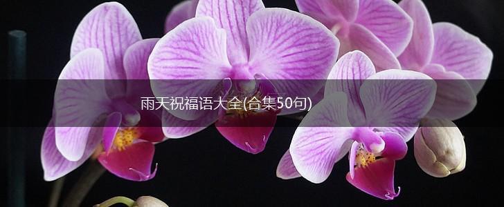 雨天祝福语大全(合集50句),第1张