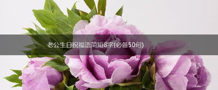 老公生日祝福语简短8字(必备50句),第1张