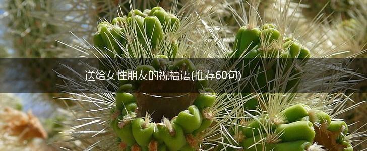 送给女性朋友的祝福语(推荐60句),第1张