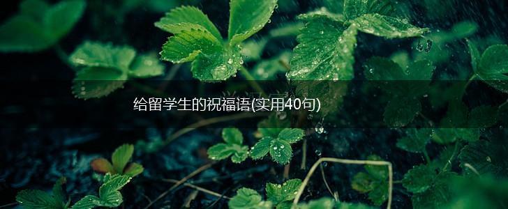 给留学生的祝福语(实用40句),第1张