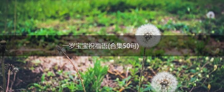 一岁宝宝祝福语(合集50句),第1张