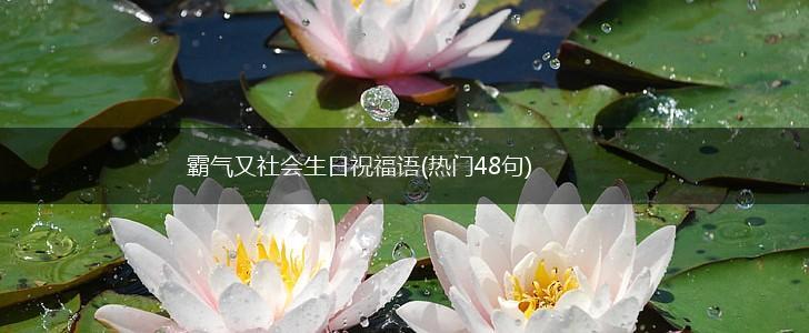 霸气又社会生日祝福语(热门48句),第1张