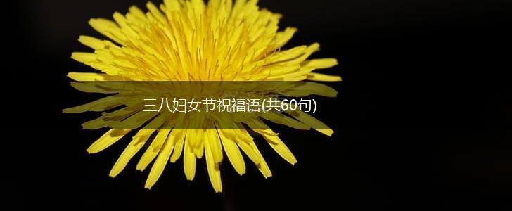 三八妇女节祝福语(共60句),第1张