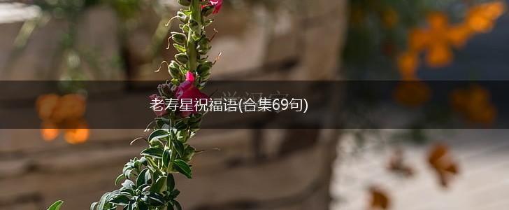 老寿星祝福语(合集69句),第1张