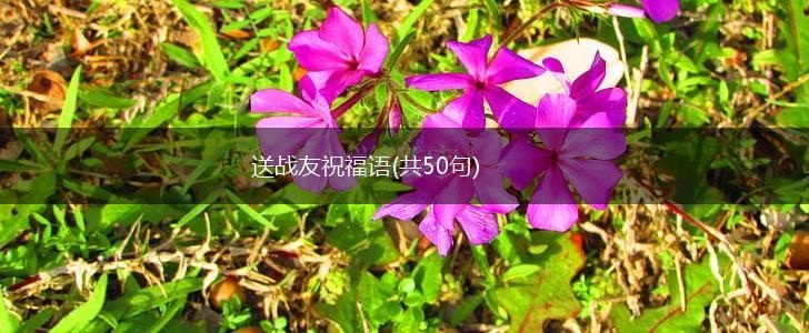 送战友祝福语(共50句),第1张