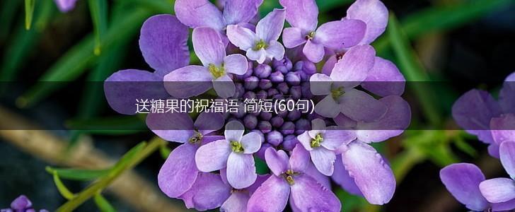 送糖果的祝福语 简短(60句),第1张