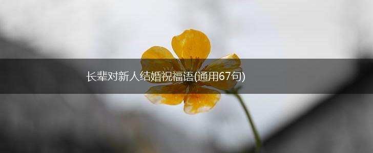 长辈对新人结婚祝福语(通用67句),第1张