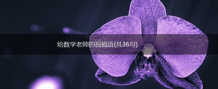 给数学老师的祝福语(共36句),第1张