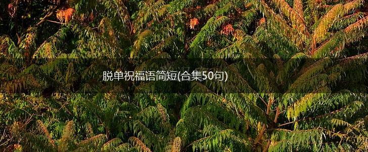 脱单祝福语简短(合集50句),第1张