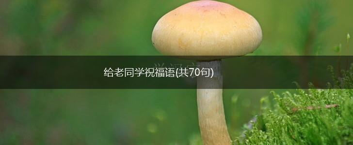 给老同学祝福语(共70句),第1张