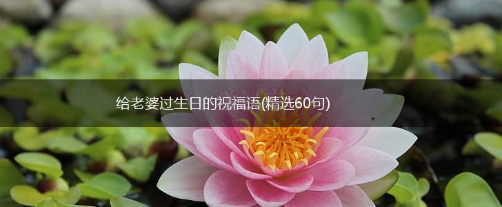 给老婆过生日的祝福语(精选60句),第1张