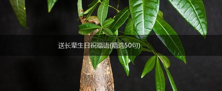 送长辈生日祝福语(精选50句),第1张