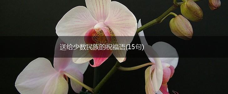 送给少数民族的祝福语(15句),第1张