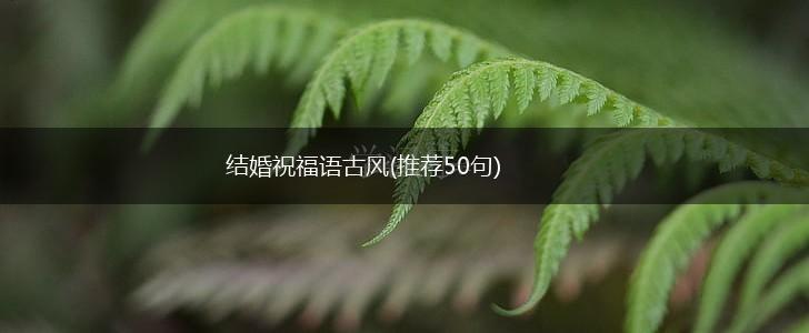 结婚祝福语古风(推荐50句),第1张