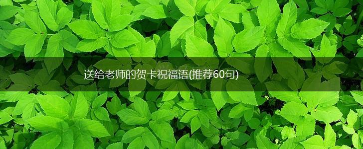 送给老师的贺卡祝福语(推荐60句),第1张