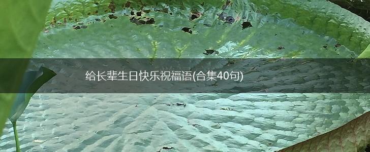 给长辈生日快乐祝福语(合集40句),第1张