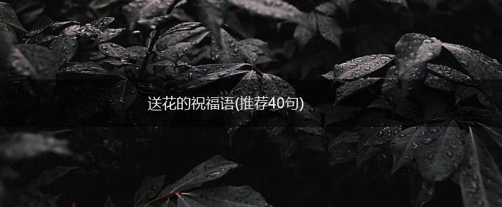 送花的祝福语(推荐40句),第1张