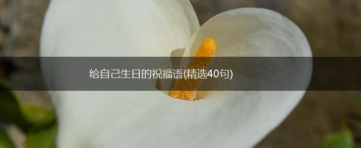 给自己生日的祝福语(精选40句),第1张