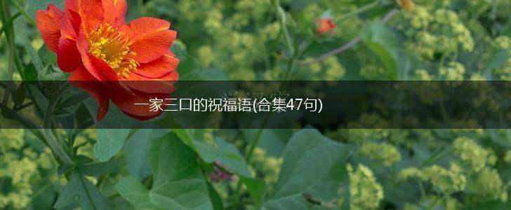 一家三口的祝福语(合集47句),第1张