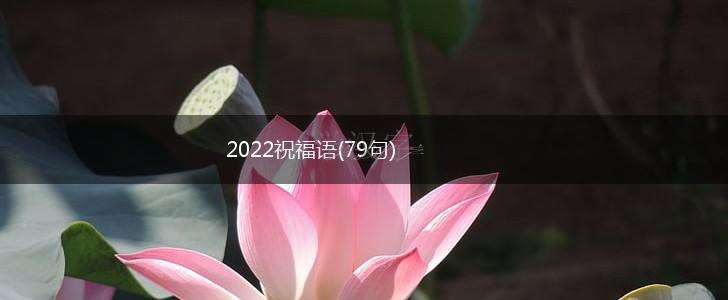 2022祝福语(79句),第1张