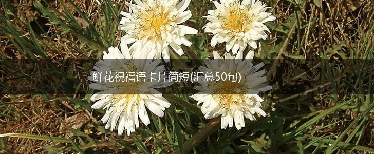 鲜花祝福语卡片简短(汇总50句),第1张