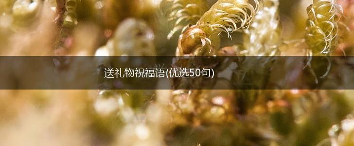 送礼物祝福语(优选50句),第1张