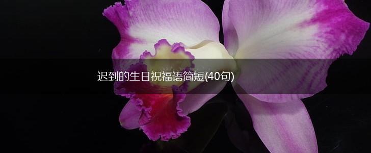 迟到的生日祝福语简短(40句),第1张