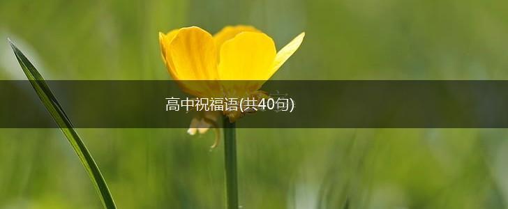 高中祝福语(共40句),第1张