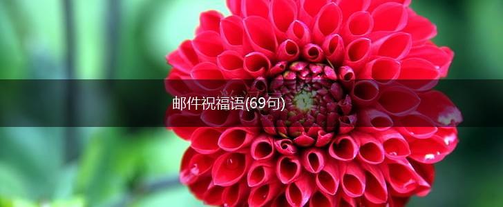 邮件祝福语(69句),第1张