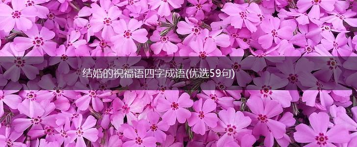 结婚的祝福语四字成语(优选59句),第1张