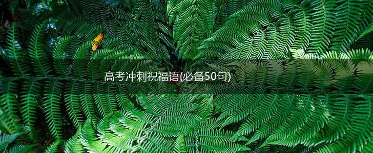 高考冲刺祝福语(必备50句),第1张