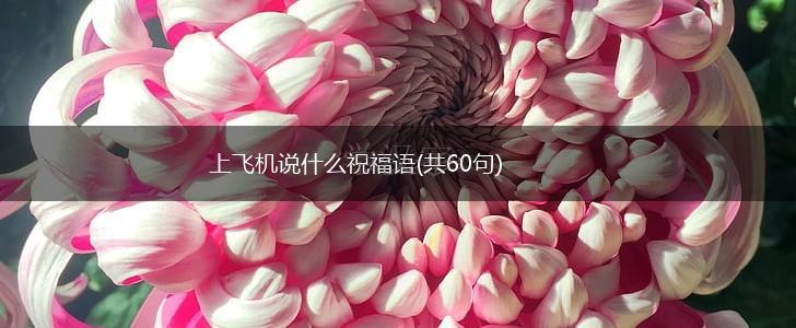 上飞机说什么祝福语(共60句),第1张