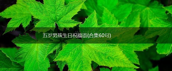 五岁男孩生日祝福语(合集60句),第1张