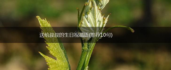 送给叔叔的生日祝福语(推荐10句),第1张