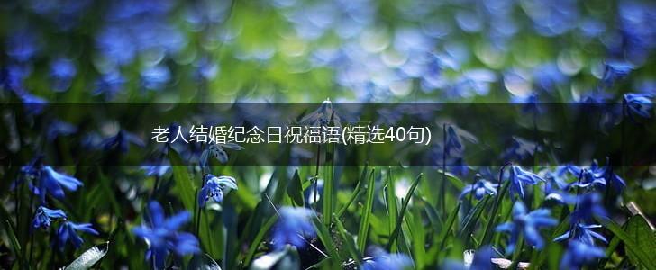 老人结婚纪念日祝福语(精选40句),第1张