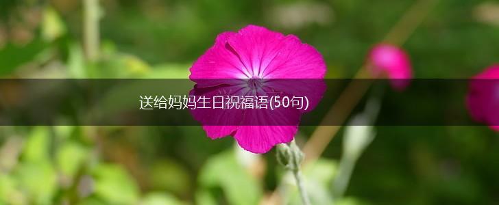 送给妈妈生日祝福语(50句),第1张