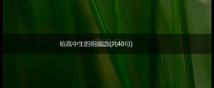 给高中生的祝福语(共40句),第1张