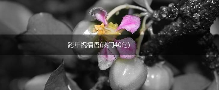 跨年祝福语(热门40句),第1张