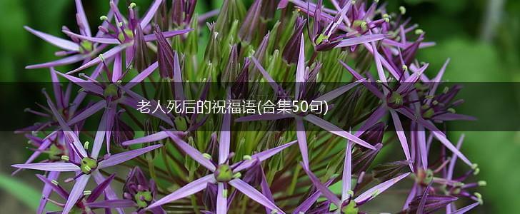 老人死后的祝福语(合集50句),第1张