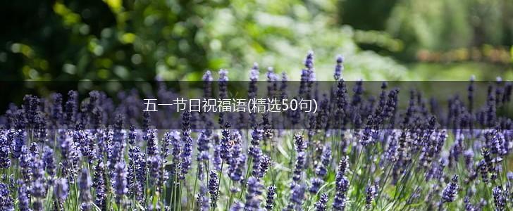 五一节日祝福语(精选50句),第1张